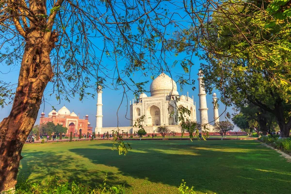 Taj Mahal Vue Sur Jardin Agra Uttar Pradesh Inde — Photo