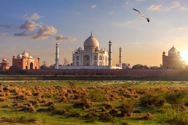 Taj Mahal back view from the meadow of Agra, India.