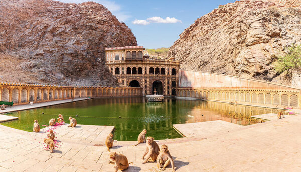 Обезьяна и играющие обезьяны у бассейна, Джайпур, Индия
.