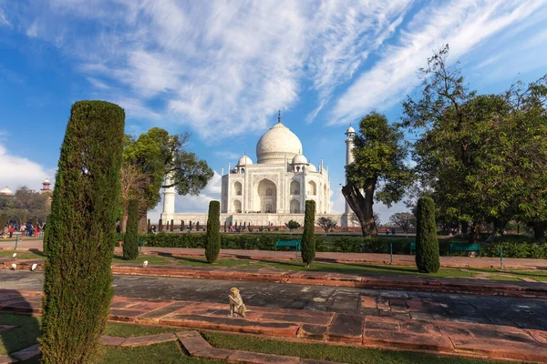 Μαυσωλείο Taj Mahal Στο Πάρκο Agra Ινδία — Φωτογραφία Αρχείου