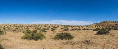 Kaliforniya 'da Açık Çöl Çayırı