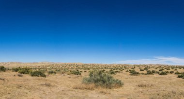 Carrizo Plain Ulusal Anıtı Panoramik Manzarası