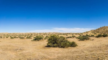 Panorama of Empty Desert Plain clipart