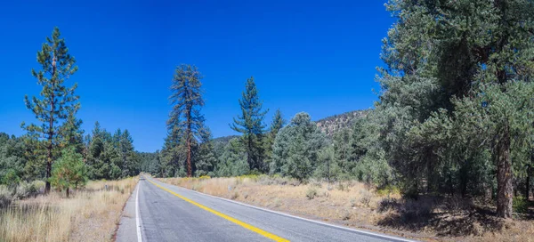 Panorama van Road door Mountain Pines — Stockfoto