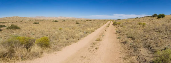 Larga carretera del desierto en los pastizales — Foto de Stock