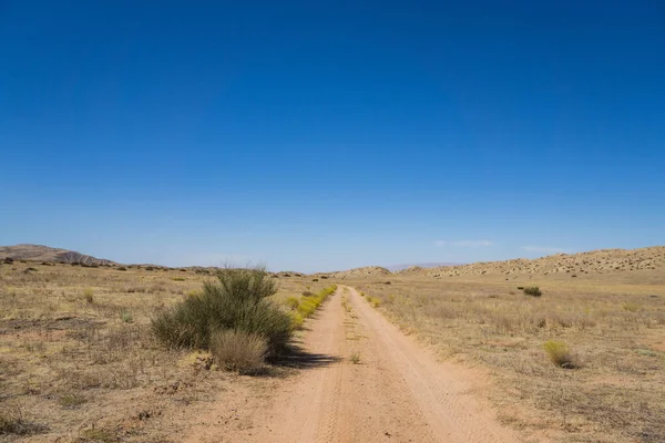 Çöl Fırçası Çamur Yolu 'nun yanında