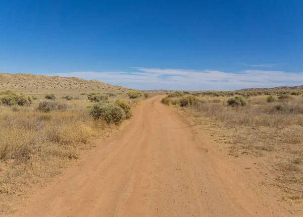 Carrizo Plain 'deki Wilderness Yolu.