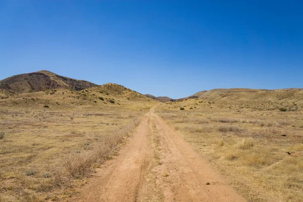 Çöl otlaklarında düz yol