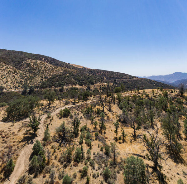 Hillside Road in San Gabriel Mountains