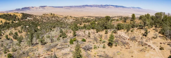 Kaliforniya Tepelerinde Wooded Ridge