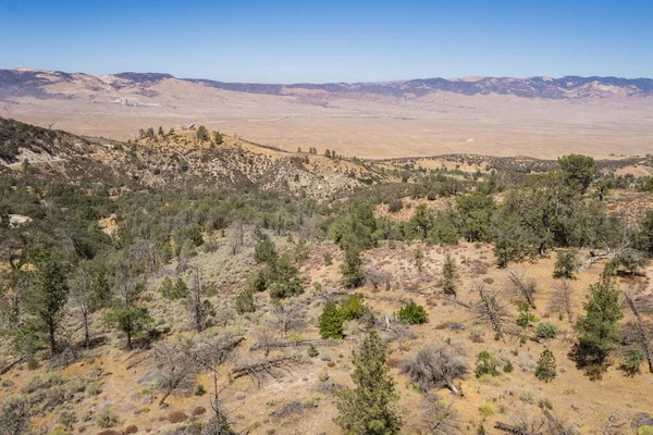 Bewaldeter Hang am Rande des Mojave — Stockfoto