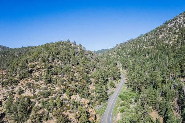 Çam Ağaçlarındaki Tepe Ormanı Yolu