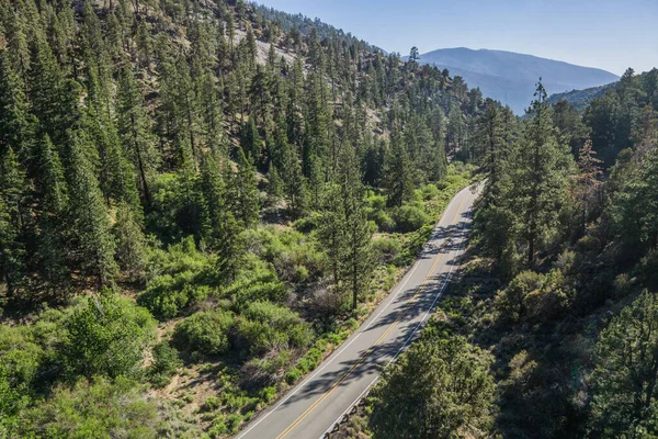 加利福尼亚森林谷的公路 — 图库照片