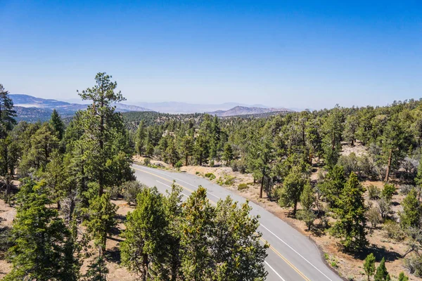 Buigen van wegen in Californië Forest — Stockfoto