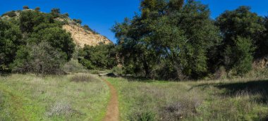 Wooded Valley 'de Yürüyen Patika