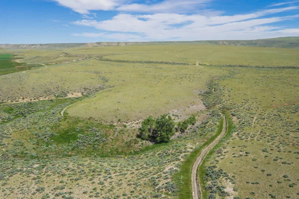 Yeşil Tarım Alanındaki Tarım Kanalı