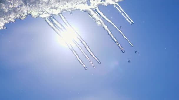 Belos pingando icicles em um dia quente brilhante ensolarado. Derretendo o gelo em um fundo azul, laço sem costura. loop infinito, loopable — Vídeo de Stock
