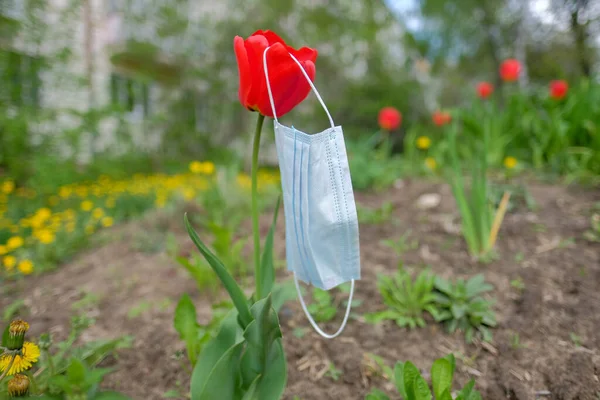 The end of Coronavirus COVID 19 Pandemic. Back to normal life. Medical mask thrown on a flower bed