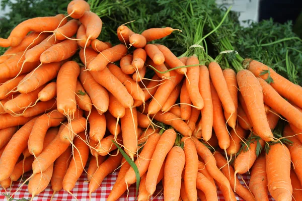 Frische rohe Karottenbüschel — Stockfoto