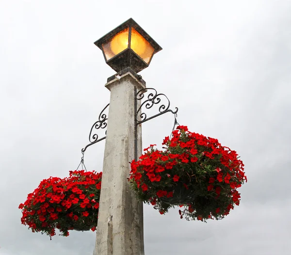 Flores penduradas em um poste de luz — Fotografia de Stock