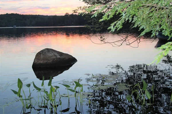 Rock i rośliny w jezioro o zachodzie słońca — Zdjęcie stockowe
