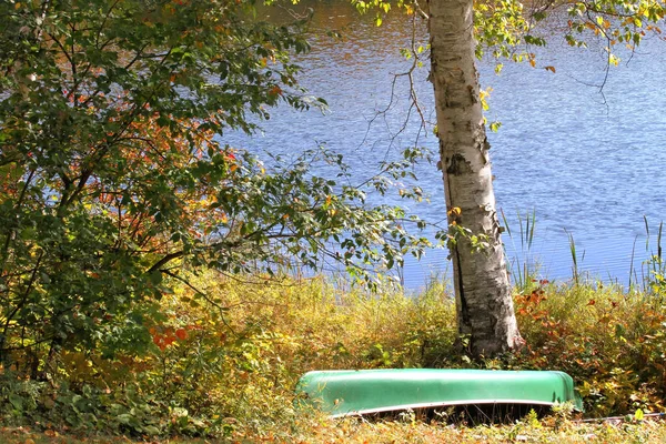 Scena autunnale di lago e alberi — Foto Stock