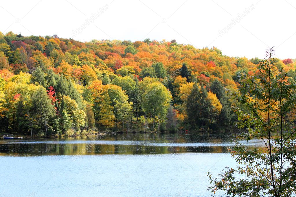 Fall scene of lake and trees