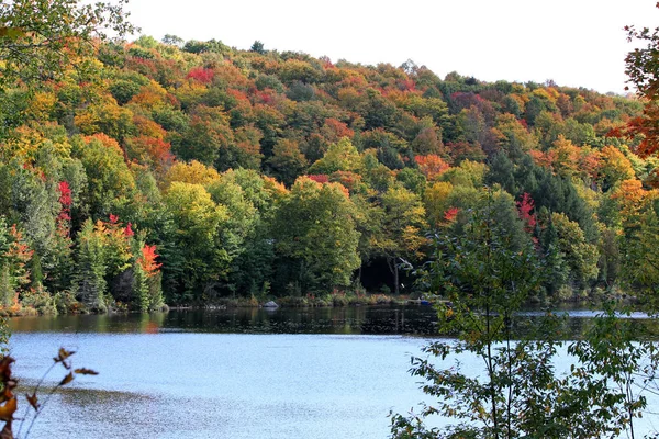 Podzimní krajina u jezera — Stock fotografie