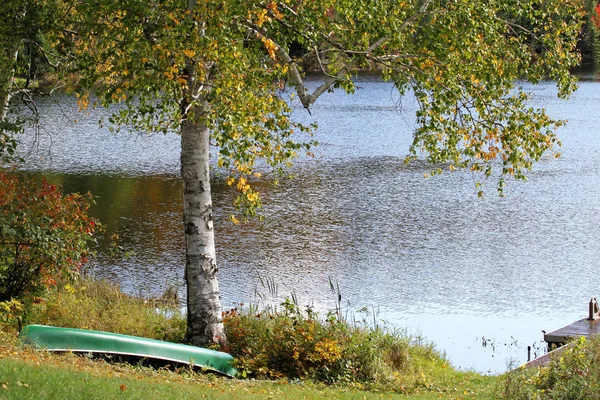 Albero, lago e canoa — Foto Stock