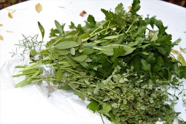  Maydanoz, adaçayı ve kekik izole arka plan üzerinde