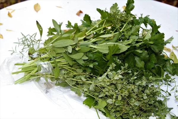  Maydanoz, adaçayı ve kekik izole arka plan üzerinde