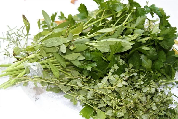 Maydanoz, adaçayı ve kekik izole bir arka plan üzerinde