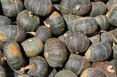Buttercup squash bir pazarda