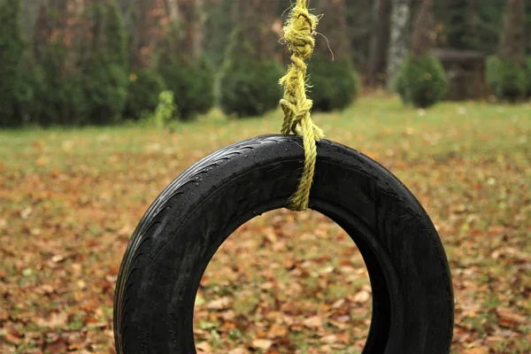 黑色的轮胎挂在一根绿色的绳子上 — 图库照片