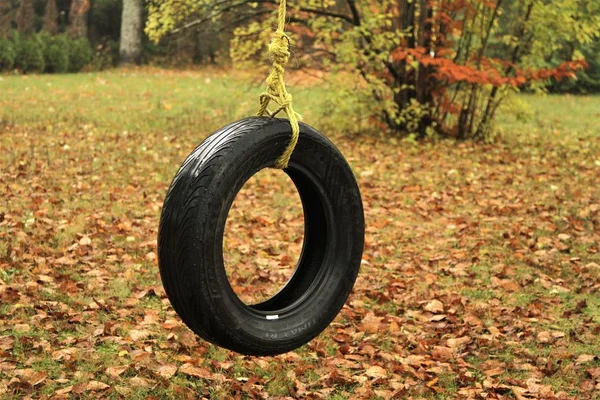 Neumático Negro Colgado Por Una Cuerda Verde Otoño —  Fotos de Stock