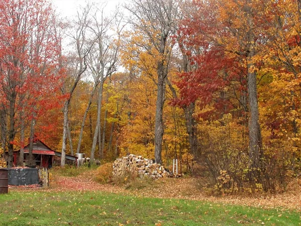 Fall trees with colorful leaves, logs, and wood cabin