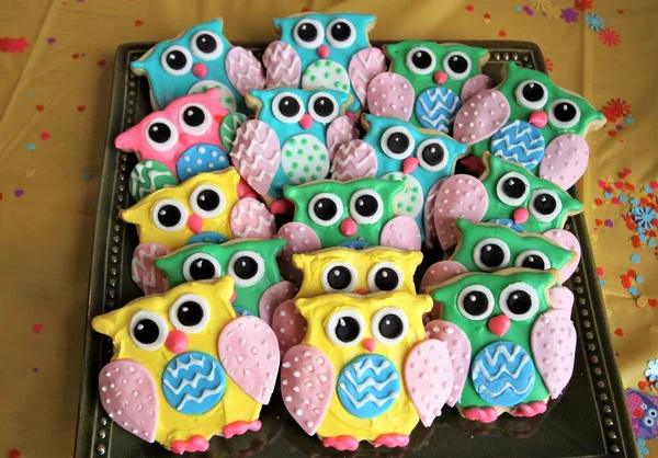 Celebration Wth Cute Colorful Cookies Shape Owls Tray — Stock Photo, Image