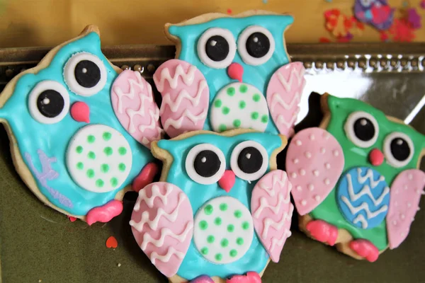 Celebration Wth Cute Colorful Cookies Shape Owls Tray — Stock Photo, Image