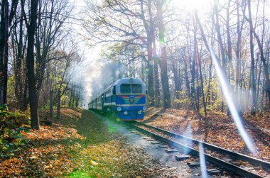 Mavi trenli sonbahar ormanı, güneşli açık bir gün ve parlayan mercek.