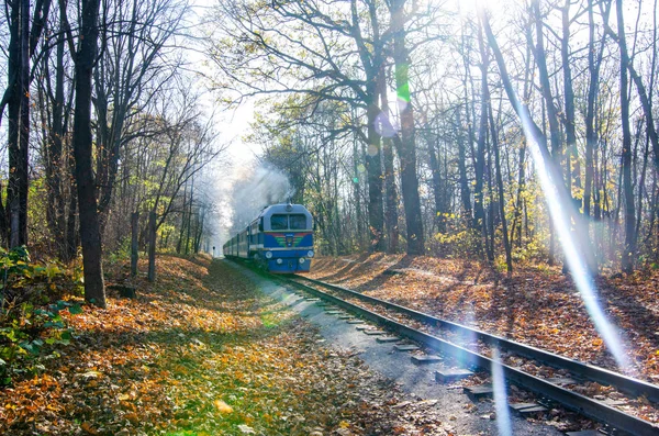 Chemin de fer à voie étroite en forêt automnale — Photo