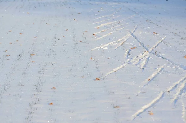 Pistes Ski Sur Neige Blanche Dans Champ Paysage Hivernal Sur — Photo