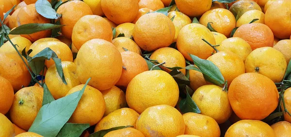 Kreativer Hintergrund aus reifen Mandarinen, schmackhaften, ungewöhnlichen Früchten — Stockfoto