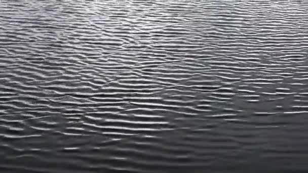 Ondulations sur l'eau élégant fond aqueux contrasté 