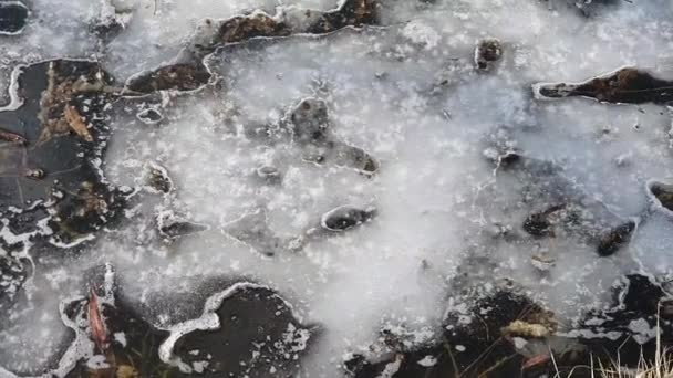 Gelo Água Elegante Fundo Água Contrastante Com Pedaços Gelo Detritos — Vídeo de Stock