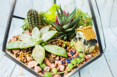Masada taze buketli üç küçük cam vazo duruyor. Floraryum