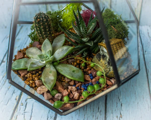 Masada Taze Buketli Küçük Cam Vazo Duruyor Floraryum — Stok fotoğraf