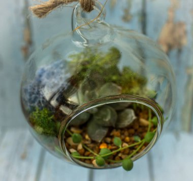 Masada taze buketli üç küçük cam vazo duruyor. Floraryum