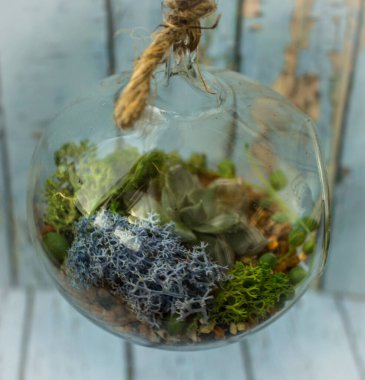 Masada taze buketli üç küçük cam vazo duruyor. Floraryum