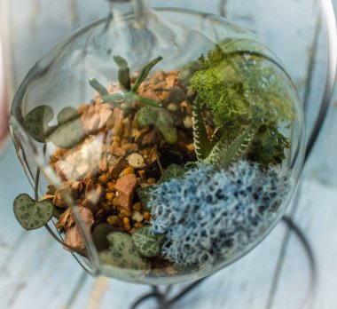 Masada taze buketli üç küçük cam vazo duruyor. Floraryum