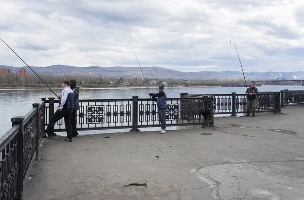 Pescadores capturam peixes no rio Yenisei, no aterro da cidade de Krasnoyarsk . — Fotografia de Stock